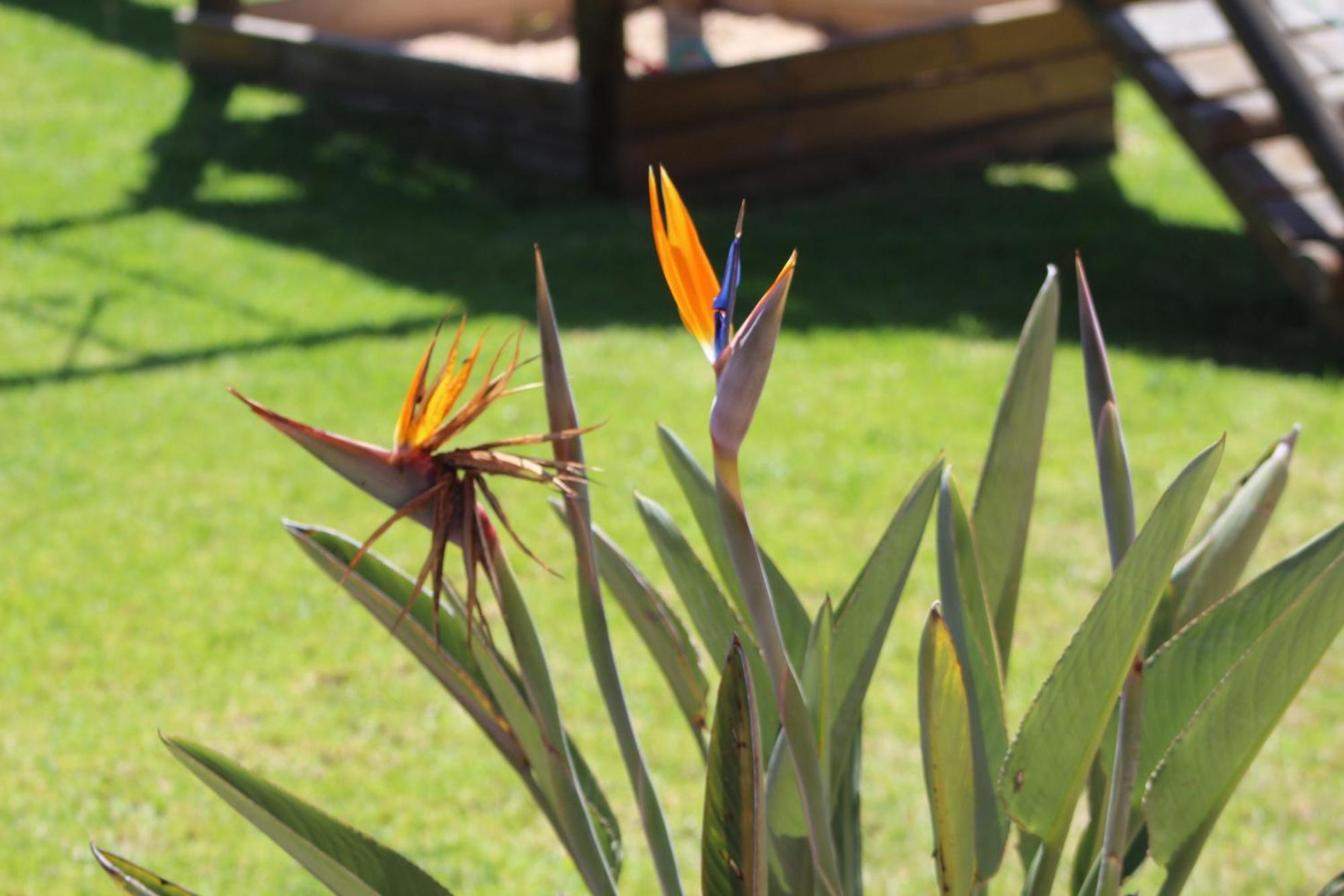 Hartenbos Private Game Lodge 外观 照片