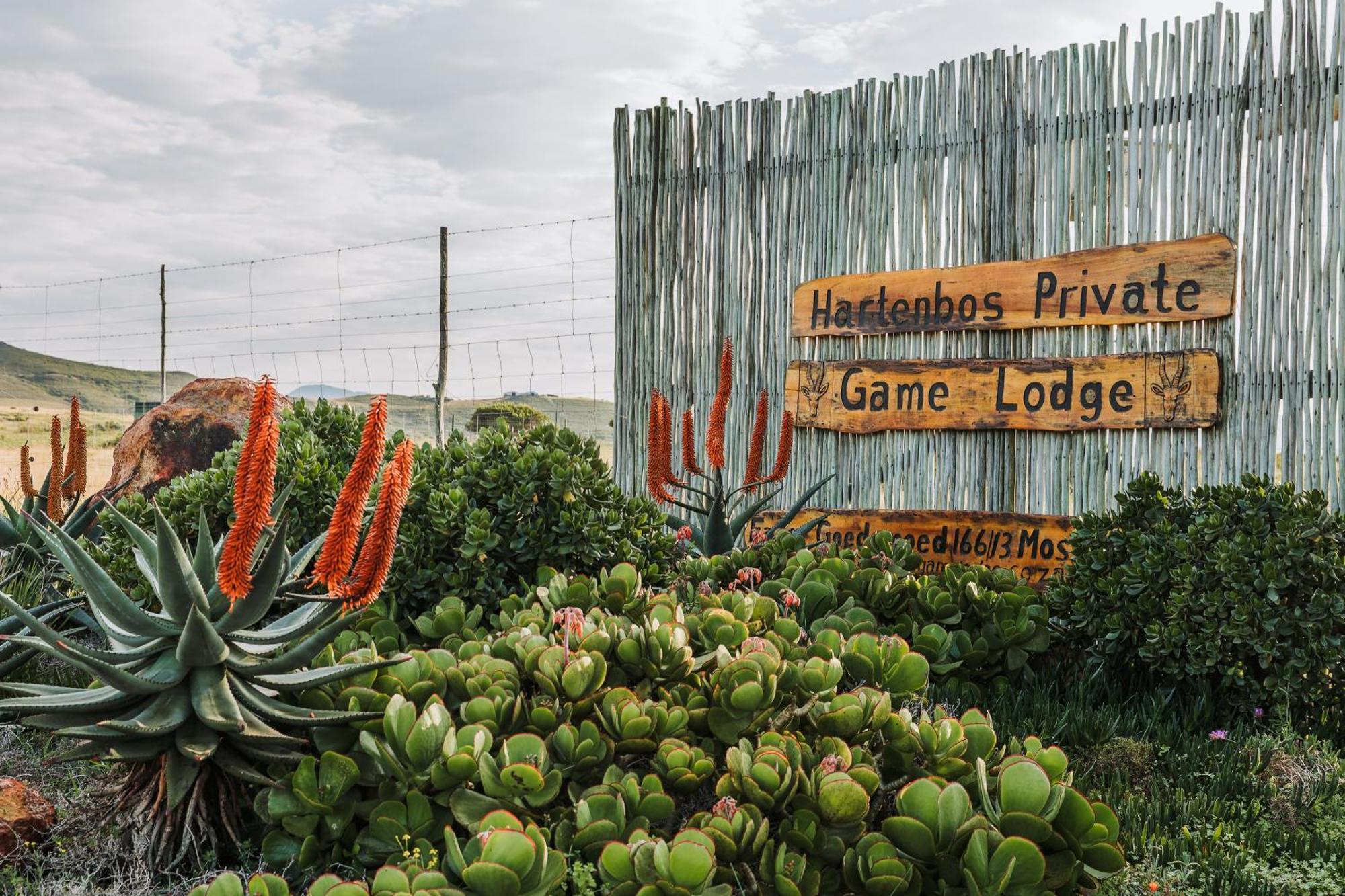 Hartenbos Private Game Lodge 外观 照片
