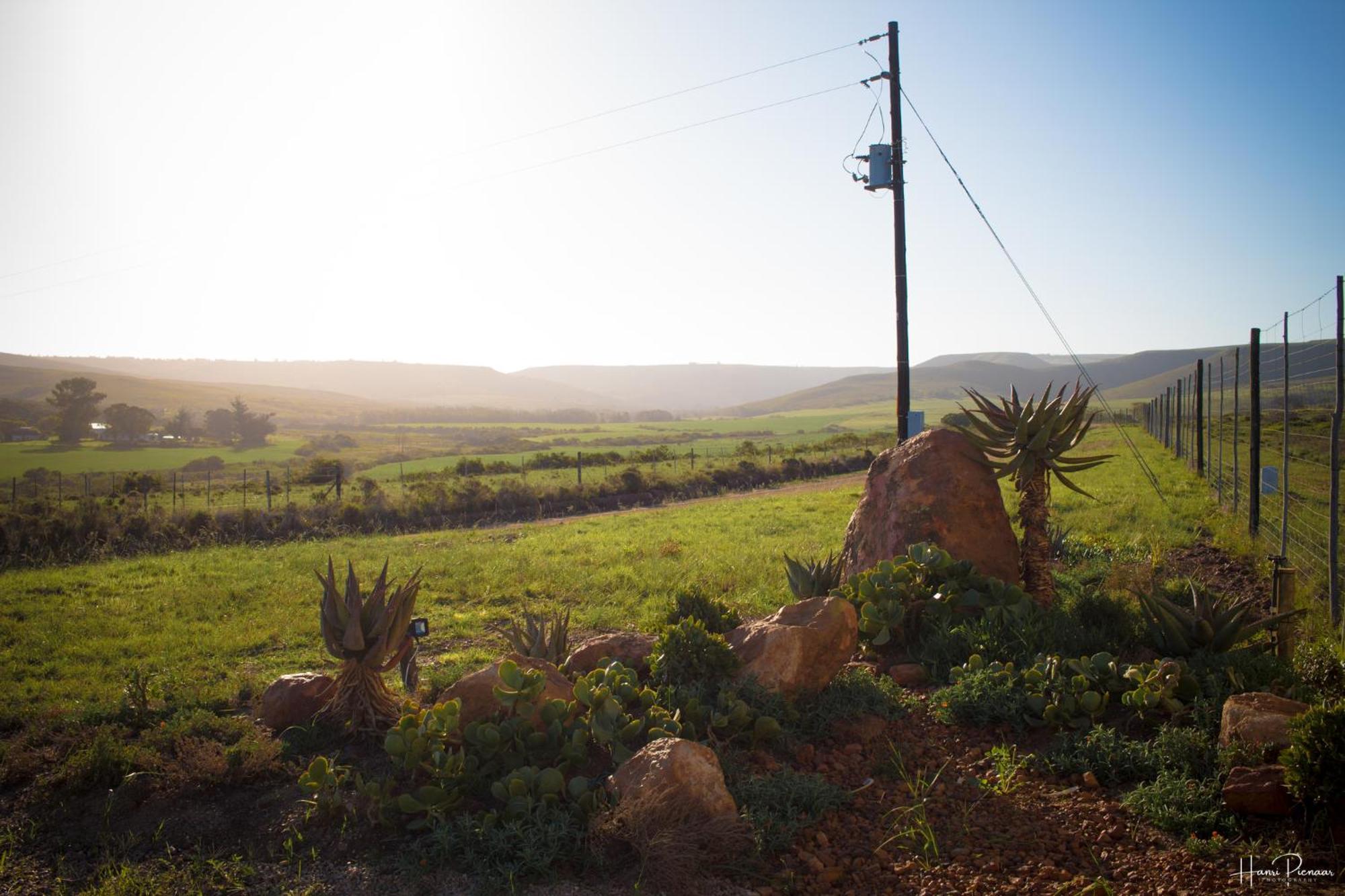 Hartenbos Private Game Lodge 外观 照片