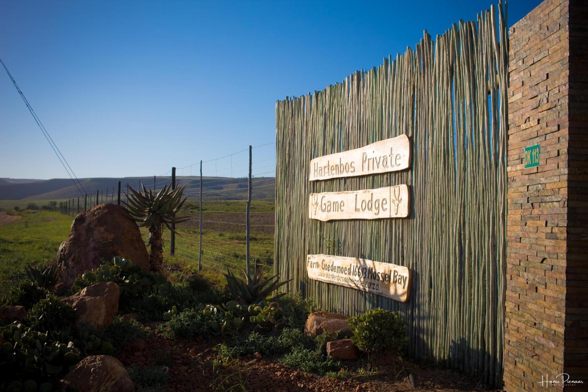 Hartenbos Private Game Lodge 外观 照片